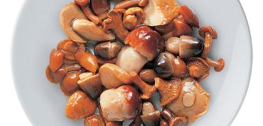 MUSHROOMS - "FANTASIA" - Mushrooms mix in oil (COD. 08002)