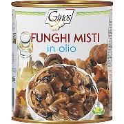 FUNGHI - FUNGHI MISTI SPECIAL - 5 varietà in olio (COD. 01025)