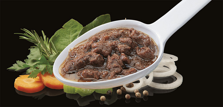 SAUCES AND SAUCES MEAT - ROE DEER meat sauce (COD. 03101)