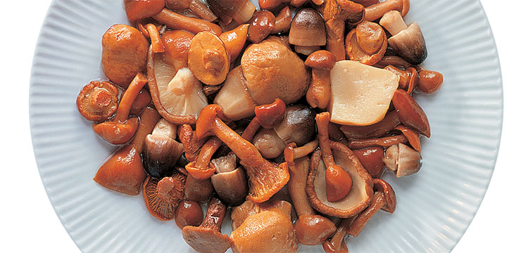 MUSHROOMS - "FANTASIA" - Mushrooms mix in brine (COD. 08022)